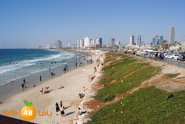 yaffa people 811 (8).JPG